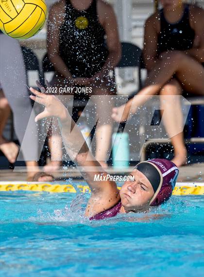 Thumbnail 2 in Whitney vs Sonora photogallery.