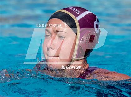 Thumbnail 2 in Whitney vs Sonora photogallery.