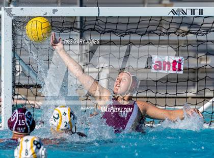 Thumbnail 1 in Whitney vs Sonora photogallery.