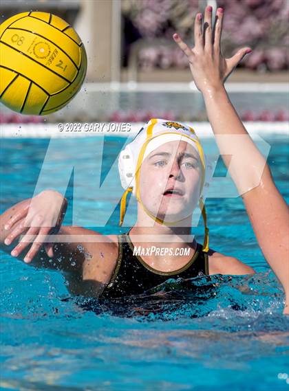 Thumbnail 1 in Whitney vs Sonora photogallery.