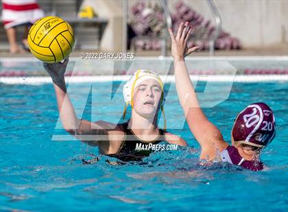 Thumbnail 2 in Whitney vs Sonora photogallery.