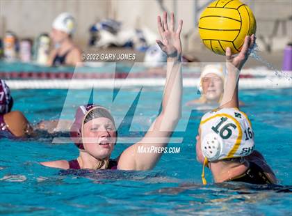 Thumbnail 2 in Whitney vs Sonora photogallery.