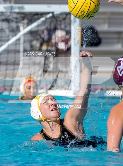 Thumbnail 2 in Whitney vs Sonora photogallery.