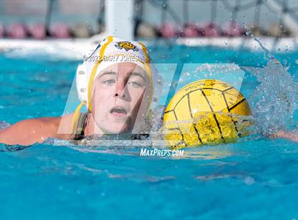 Thumbnail 1 in Whitney vs Sonora photogallery.