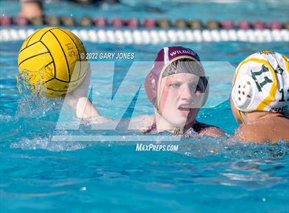 Thumbnail 2 in Whitney vs Sonora photogallery.