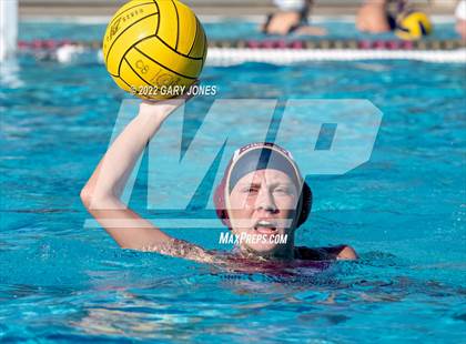 Thumbnail 2 in Whitney vs Sonora photogallery.