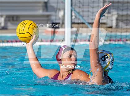 Thumbnail 1 in Whitney vs Sonora photogallery.