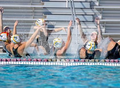 Thumbnail 2 in Whitney vs Sonora photogallery.