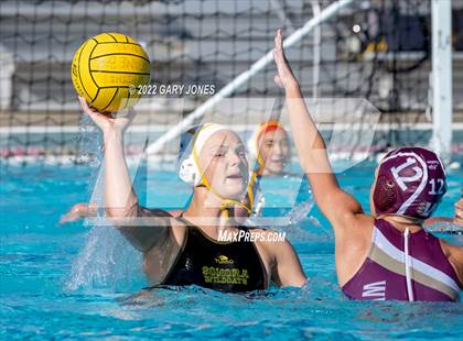 Thumbnail 2 in Whitney vs Sonora photogallery.