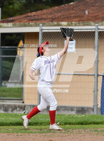 Thumbnail 3 in Montgomery @ Tamalpais photogallery.