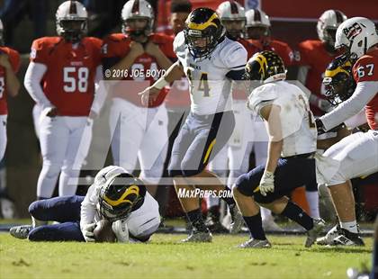 Thumbnail 1 in Buckhorn @ Bob Jones photogallery.