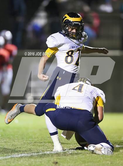 Thumbnail 2 in Buckhorn @ Bob Jones photogallery.