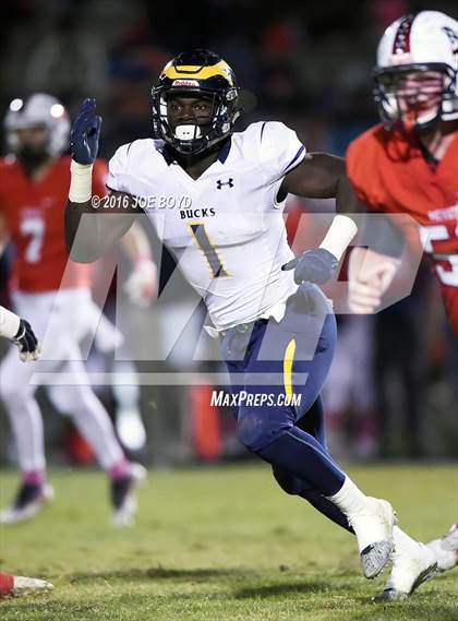Thumbnail 3 in Buckhorn @ Bob Jones photogallery.