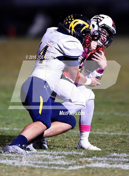 Thumbnail 2 in Buckhorn @ Bob Jones photogallery.
