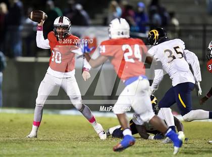 Thumbnail 2 in Buckhorn @ Bob Jones photogallery.