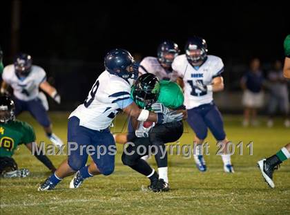 Thumbnail 3 in Barbe @ Washington-Marion  photogallery.