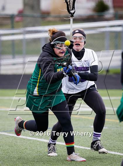 Thumbnail 3 in Williamsville North @ Hamburg photogallery.