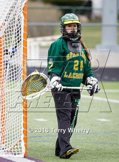 Thumbnail 1 in Williamsville North @ Hamburg photogallery.