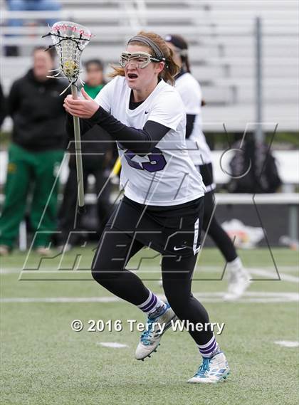 Thumbnail 1 in Williamsville North @ Hamburg photogallery.