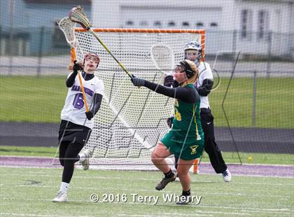 Thumbnail 2 in Williamsville North @ Hamburg photogallery.
