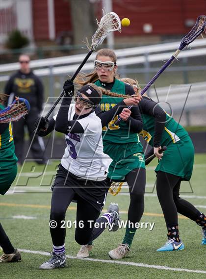 Thumbnail 3 in Williamsville North @ Hamburg photogallery.