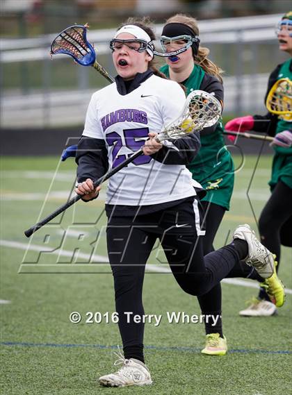 Thumbnail 2 in Williamsville North @ Hamburg photogallery.