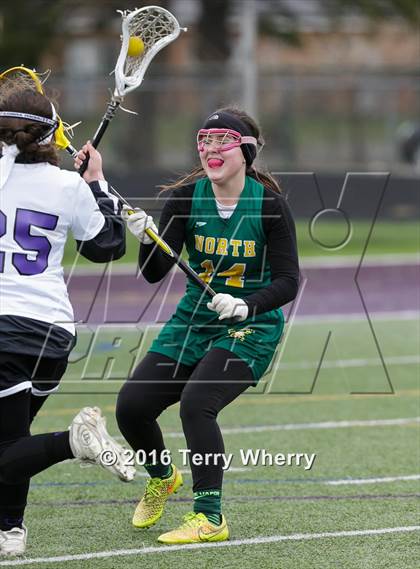 Thumbnail 2 in Williamsville North @ Hamburg photogallery.