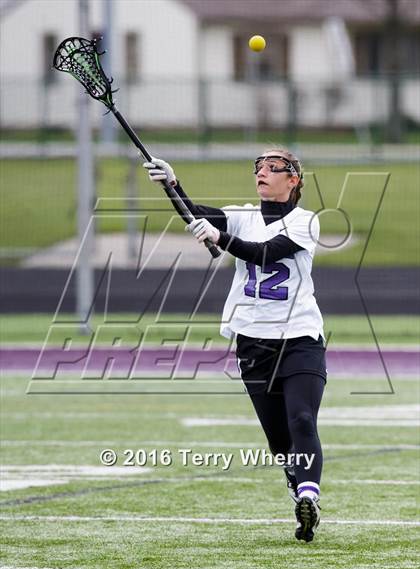 Thumbnail 1 in Williamsville North @ Hamburg photogallery.