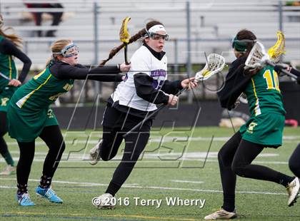 Thumbnail 2 in Williamsville North @ Hamburg photogallery.