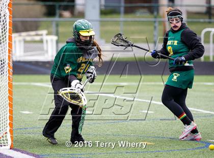 Thumbnail 3 in Williamsville North @ Hamburg photogallery.