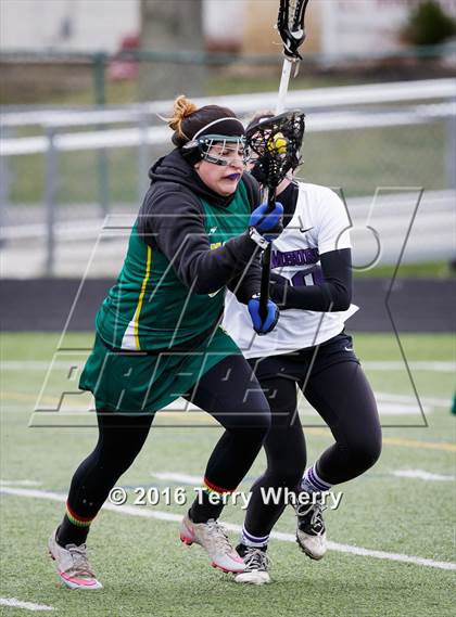 Thumbnail 1 in Williamsville North @ Hamburg photogallery.