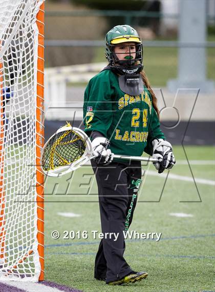 Thumbnail 2 in Williamsville North @ Hamburg photogallery.
