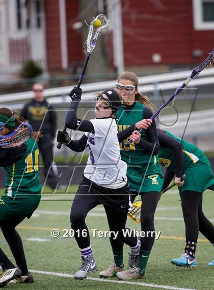 Thumbnail 1 in Williamsville North @ Hamburg photogallery.