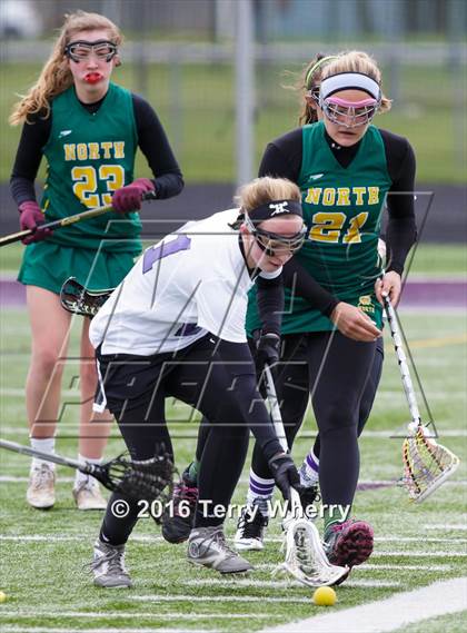 Thumbnail 2 in Williamsville North @ Hamburg photogallery.