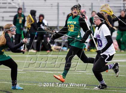 Thumbnail 2 in Williamsville North @ Hamburg photogallery.