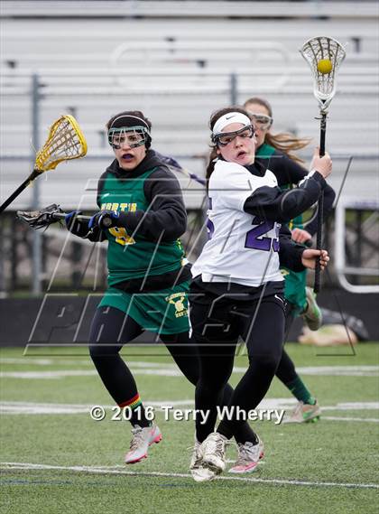 Thumbnail 3 in Williamsville North @ Hamburg photogallery.