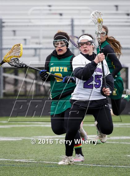 Thumbnail 1 in Williamsville North @ Hamburg photogallery.