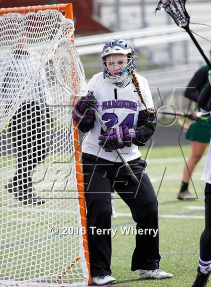 Thumbnail 2 in Williamsville North @ Hamburg photogallery.