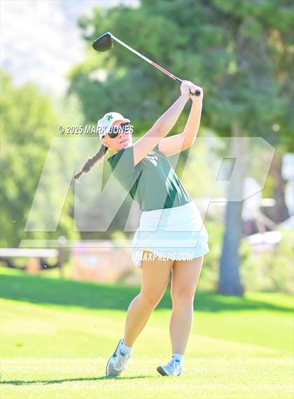 Thumbnail 3 in AIA DII Championships photogallery.