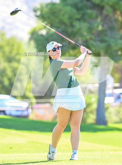 Thumbnail 1 in AIA DII Championships photogallery.