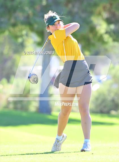 Thumbnail 1 in AIA DII Girls State Golf Championships photogallery.