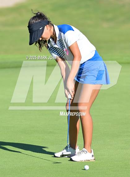 Thumbnail 1 in AIA DII Girls State Golf Championships photogallery.
