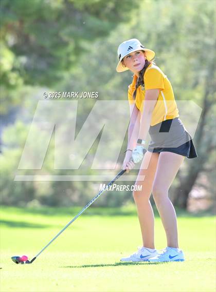 Thumbnail 3 in AIA DII Championships photogallery.