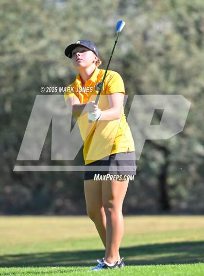 Thumbnail 1 in AIA DII Championships photogallery.