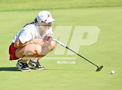 Thumbnail 2 in AIA DII Championships photogallery.