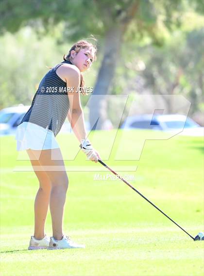 Thumbnail 3 in AIA DII Girls State Golf Championships photogallery.