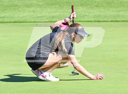 Thumbnail 1 in AIA DII Championships photogallery.