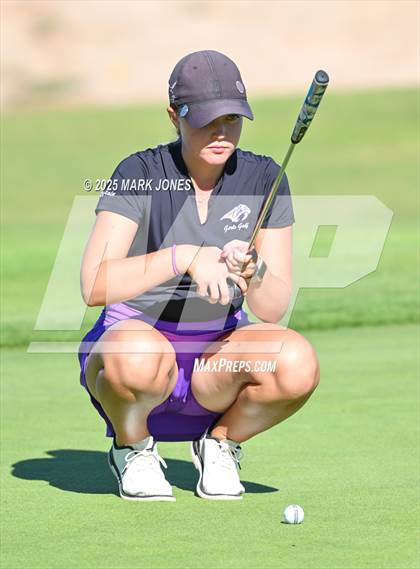 Thumbnail 1 in AIA DII Championships photogallery.