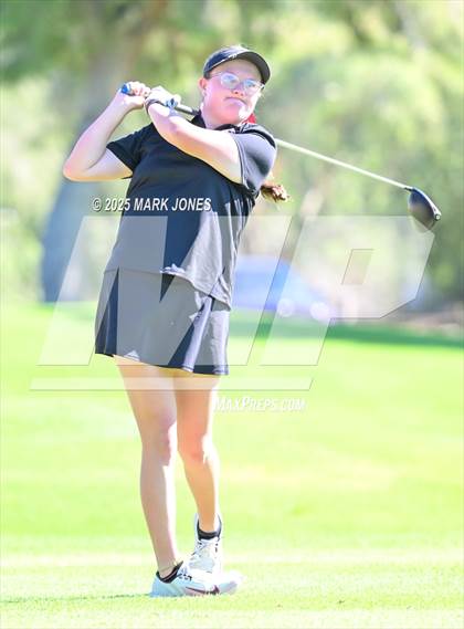 Thumbnail 3 in AIA DII Girls State Golf Championships photogallery.