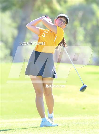 Thumbnail 2 in AIA DII Girls State Golf Championships photogallery.